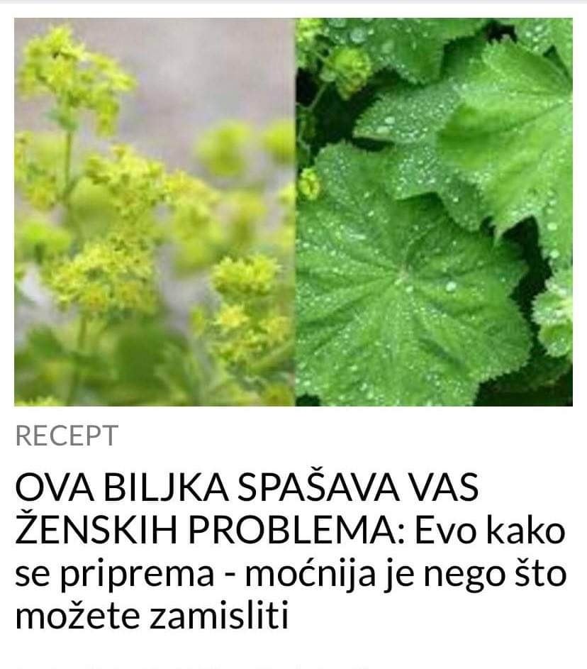 Veoma korisna biljka