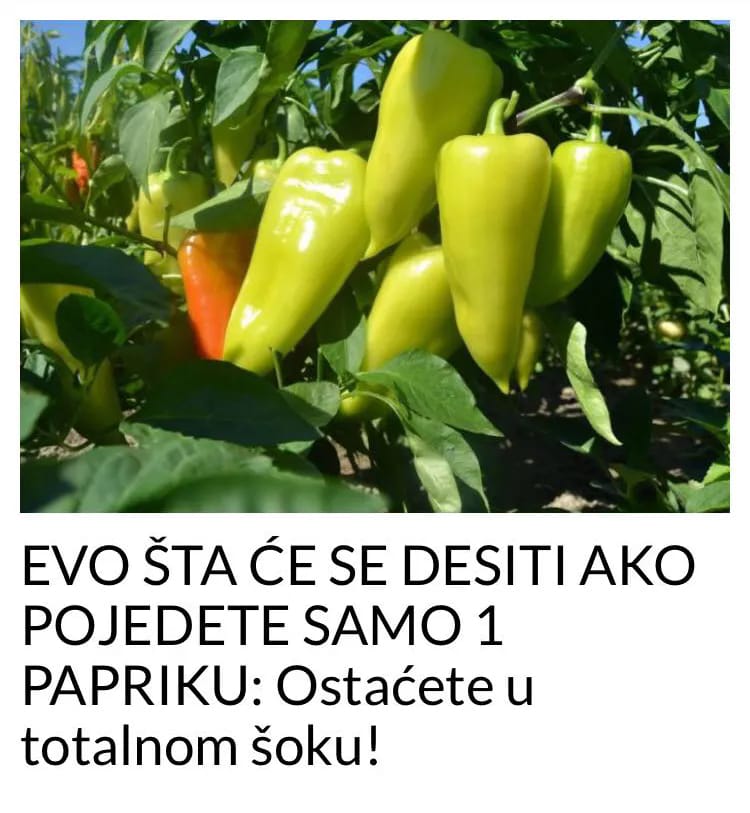 POGLEDAJTE STA SE DESAVA I VASEM TIJELU KADA POJEDETE SAMO JEDNU PAPRIKU