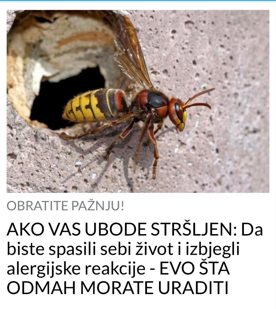 UBOD STRSLJENA JE IZUZETNO BOLAN A EVO STA MORATE ODMAH UCINITI DA NE BI POSTAO KOBAN