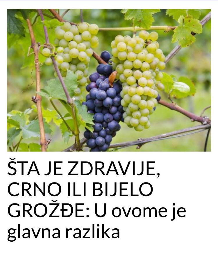 POGLEDAJTE ODGOVOR NA PITANJE DA LI JE ZDRAVIJE CRNO ILI BIJELO GROŽĐE