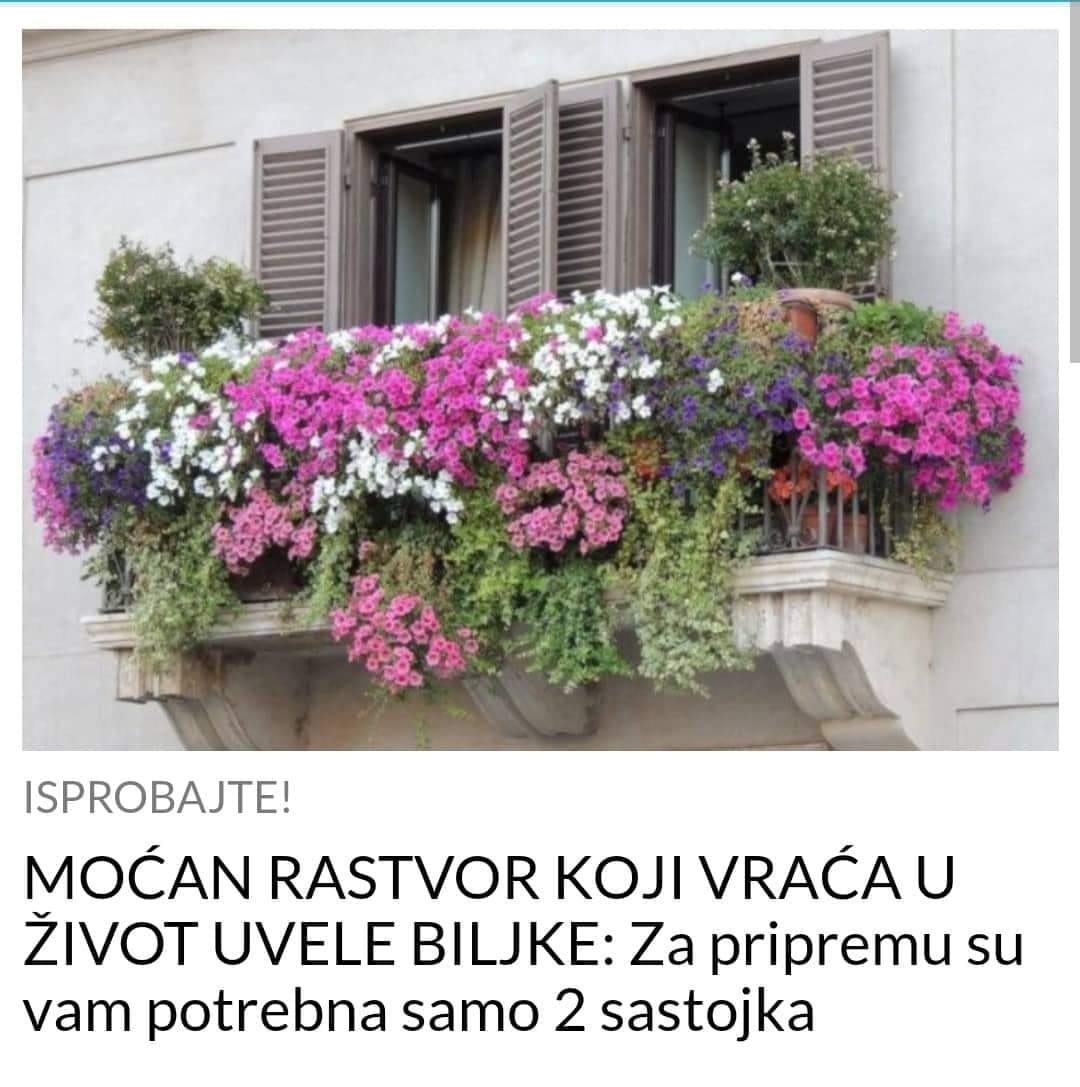 POGLEDAJTE MOĆAN RASTVOR KOJI VRAĆA U ŽIVOT UVELE BILJKE