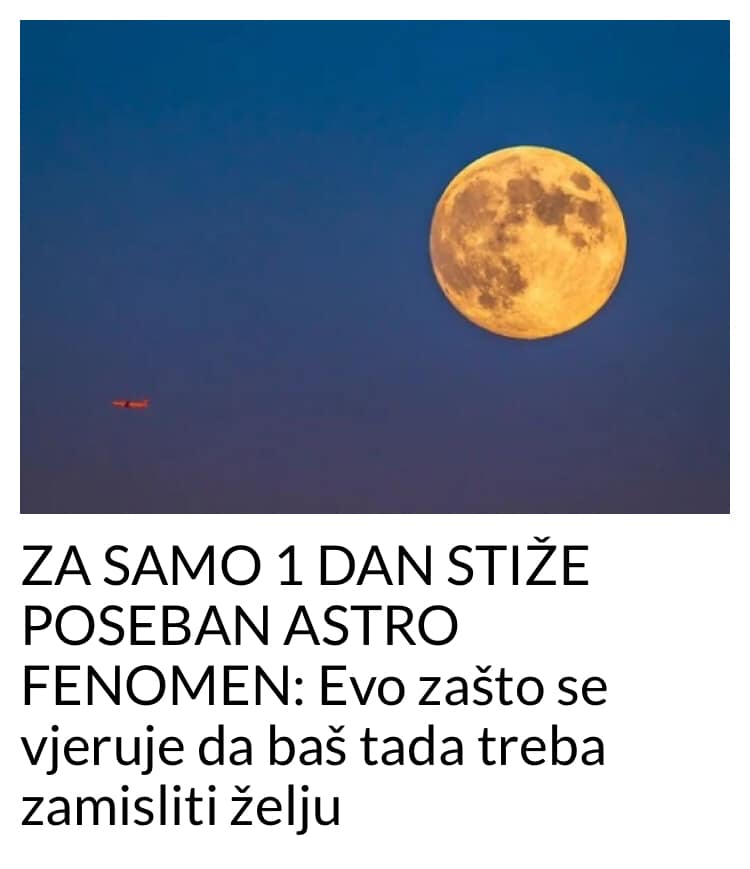 EVO KADA I ZASTO TREBA ZAZELITI ZELJU