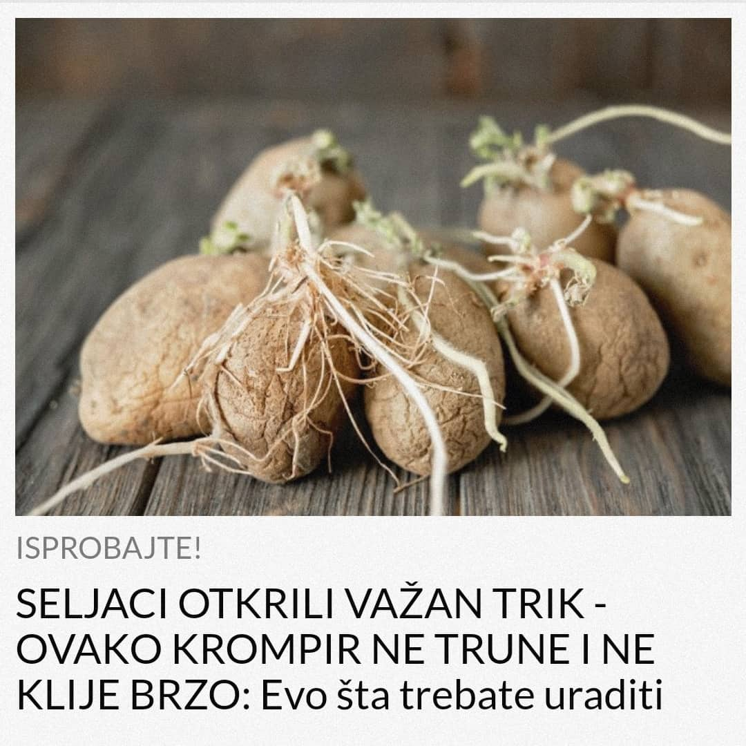 POGLEDAJTE KAKO DA VAM KROMPIR NE TRUNE I NE KLIJE