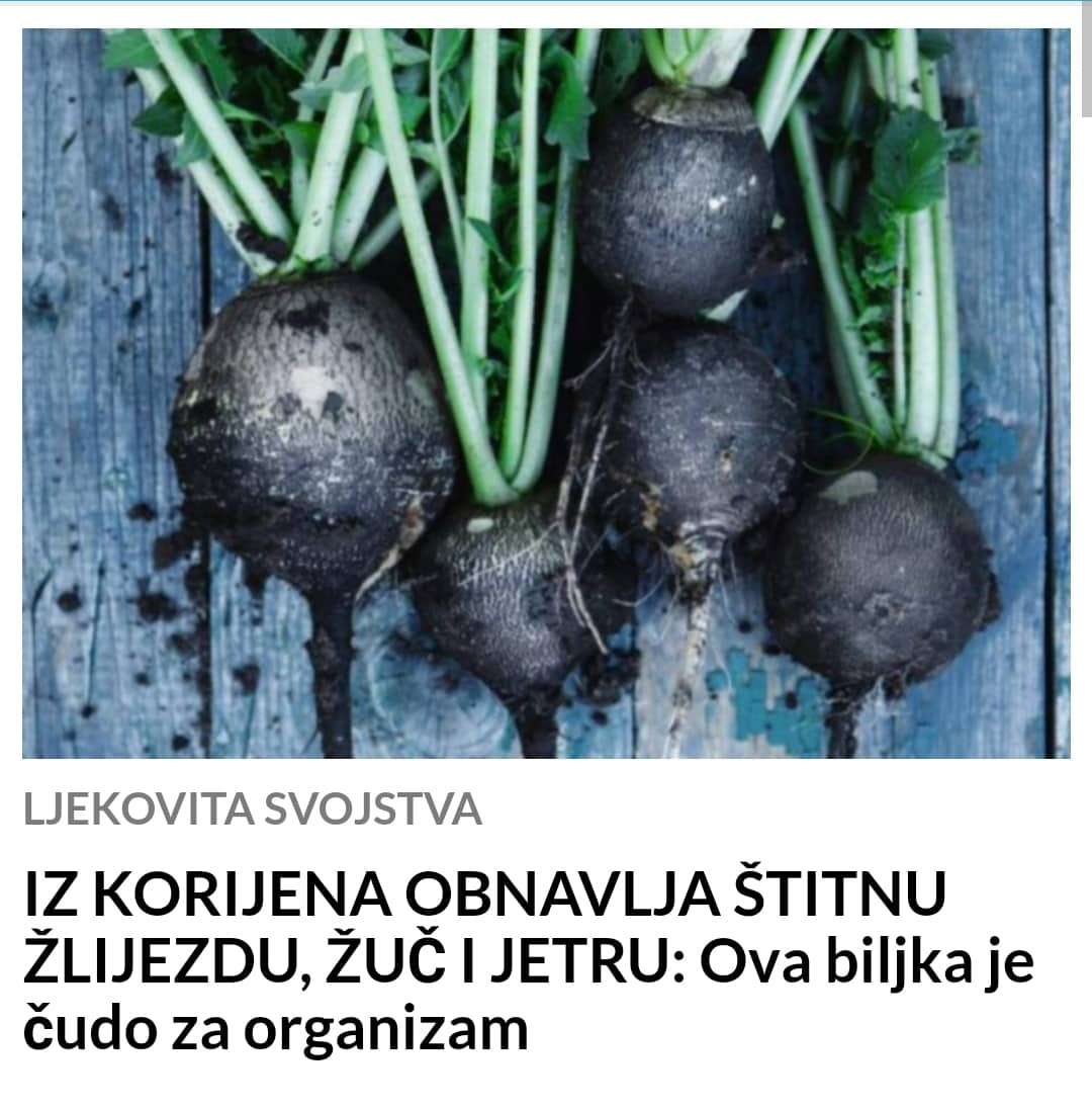 POGLEDAJTE KOJA BILJKA JE ČUDO ZA ORGANIZAM