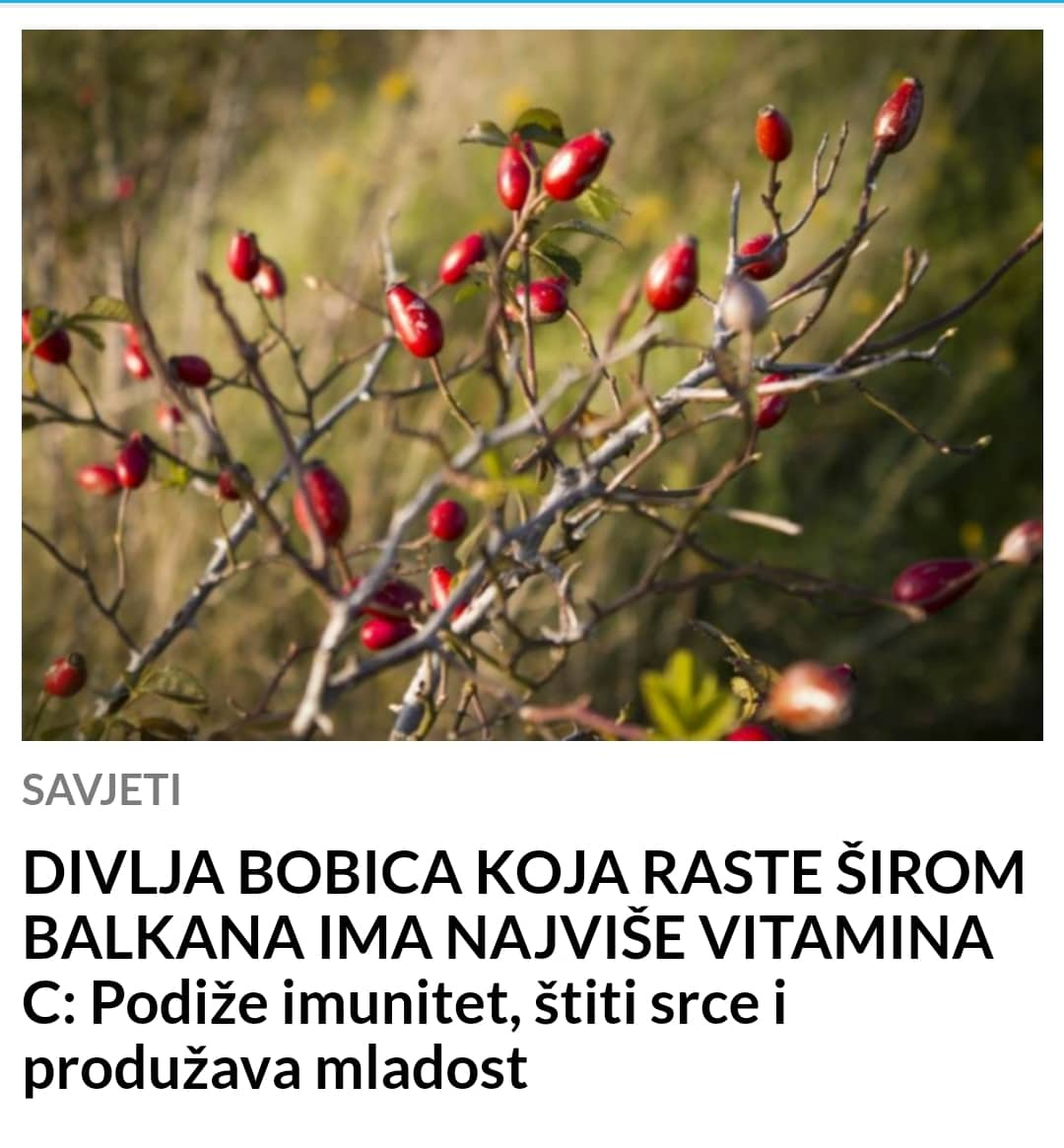 POGLEDAJTE ŠTA IMA NAJVIŠE VITAMINA C