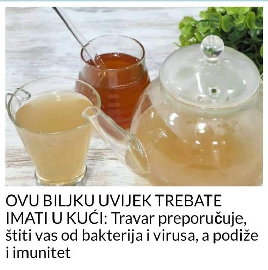 POGLEDAJTE KOJA BILJKA VAS STITI OD BAKTERIJA I VIRUSA