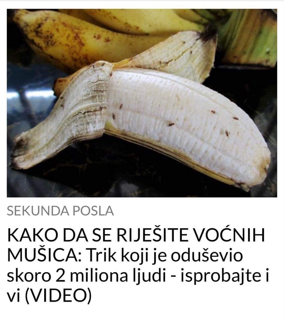 POGLEDAJTE KAKO DA SE RIJEŠITE MUŠICA NA VOĆU