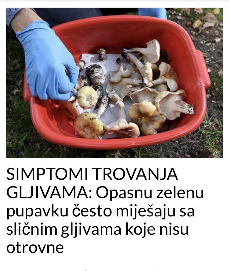 OVO SU SIMPTOMI KOD TROVANJA GLJIVAMA