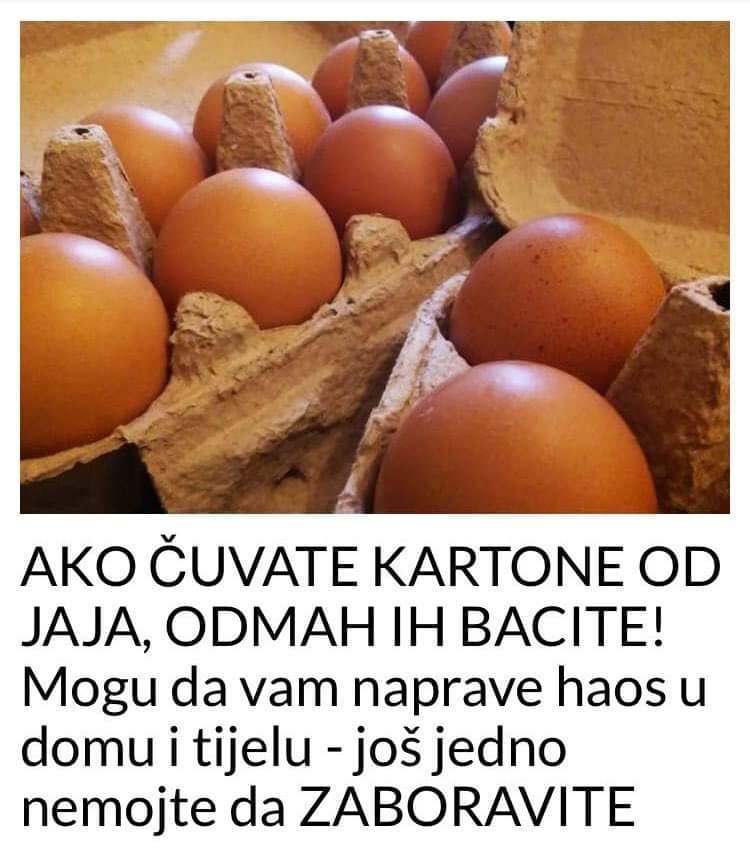 KARTON OD JAJA MOZE DA VAM NAPRAVI HAOS U DOMU I TIJELU