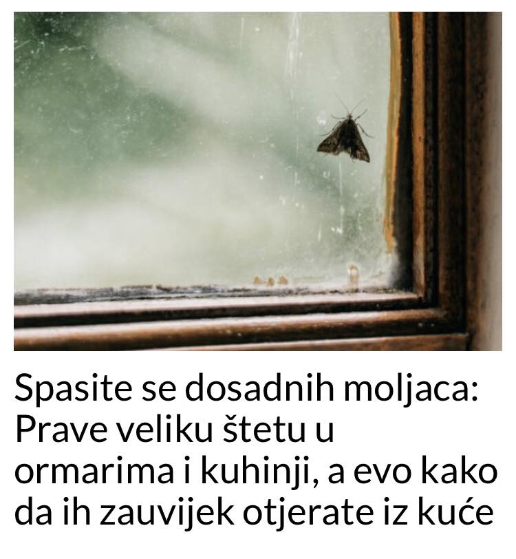 POGLEDAJTE KAKO DA SE SPASITE DOSADNIH MOLJACA