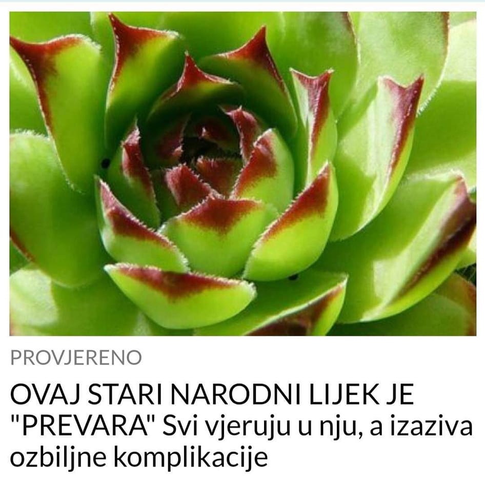 POGLEDAJTE ZAŠTO JE OVAJ STARI NARODNI LIJEK PREVARA