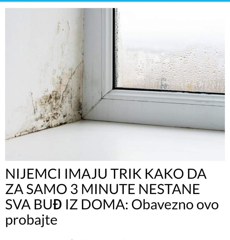 NIJEMCI IMAJU TRIK KAKO DA ZA SAMO 3 MINUTE NESTANE SVA BUĐ IZ DOMA: