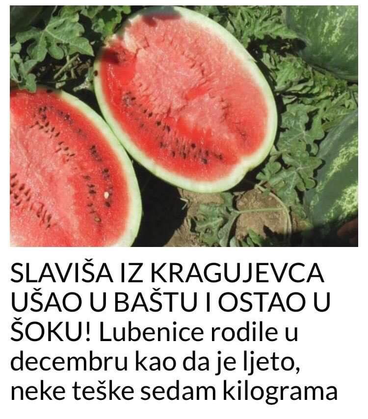 POGLEDAJTE ZBOG CEGA JE SLAVISA IZ KRAGUJEVCA OSTAO U SOKU KADA JE USAO U BASTU