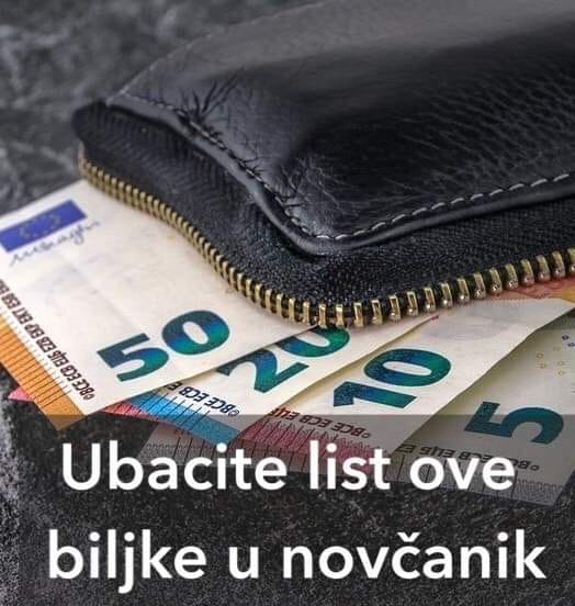 POGLEDAJTE TRIK ZA PRIVLACENJE NOVCA