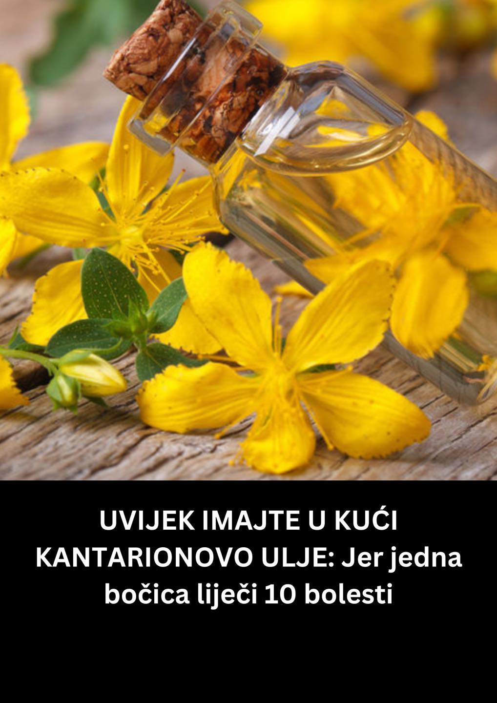 JEDNA BOČICA KANTARIONOVOG ULJA LIJEČI 10 BOLESTI