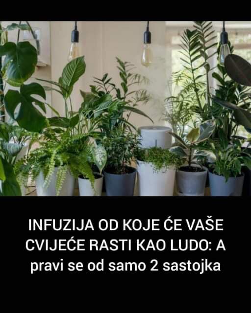 EVO NAČINA DA VAM CVIJEĆE RASTE KAO LUDO