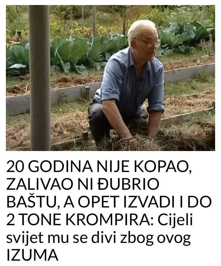 POGLEDAJTE 20 GODINA NIJE KOPAO, ZALIVAO NI ĐUBRIO BAŠTU, A OPET IZVADI I DO 2 TONE KROMPIRA