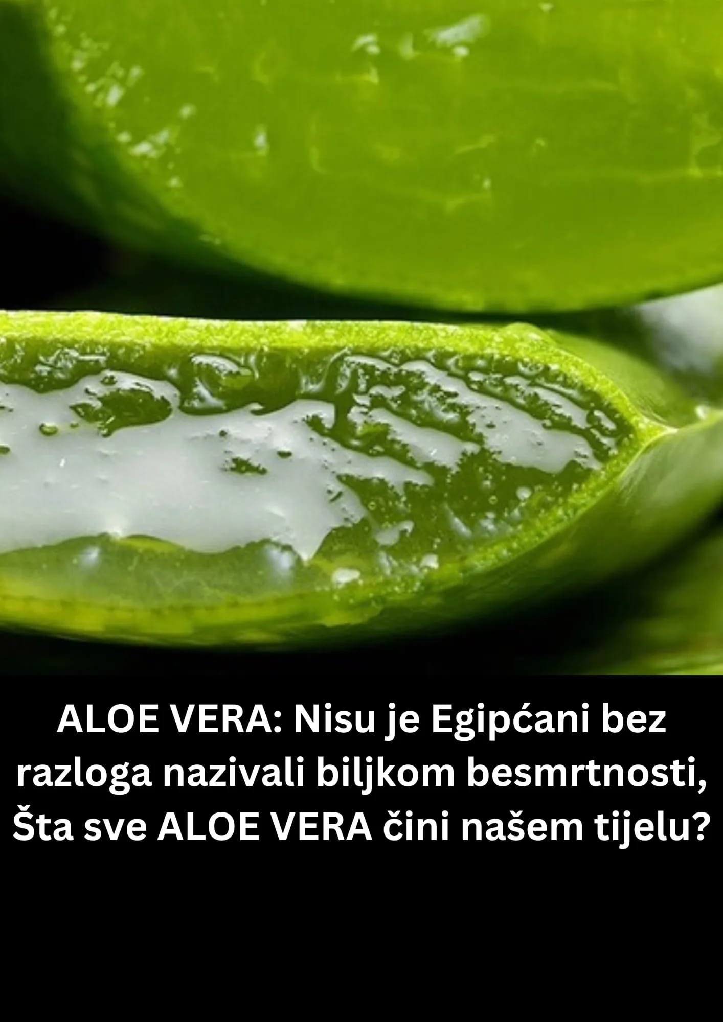 šta sve ALOE VERA čini našem tijelu?