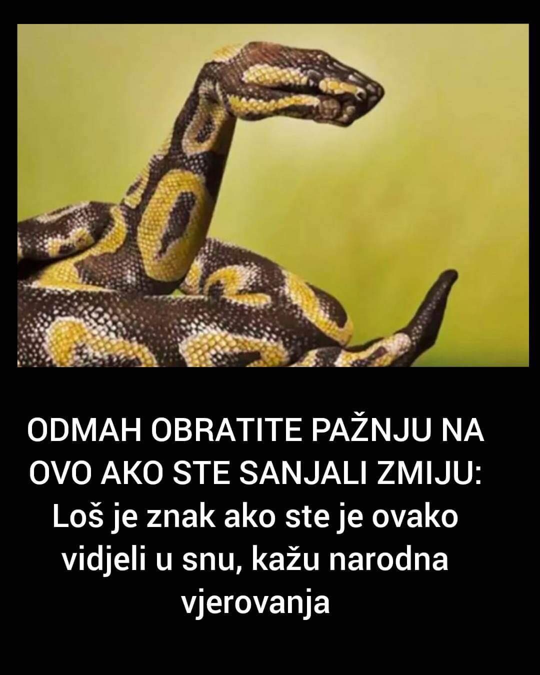 EVO STA ZNACI SANJATI ZMIJU