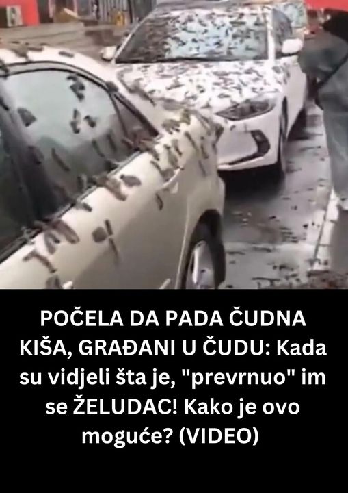 POGLEDAJTE ZBOG CEGA SU GRADJANI U CUDU !