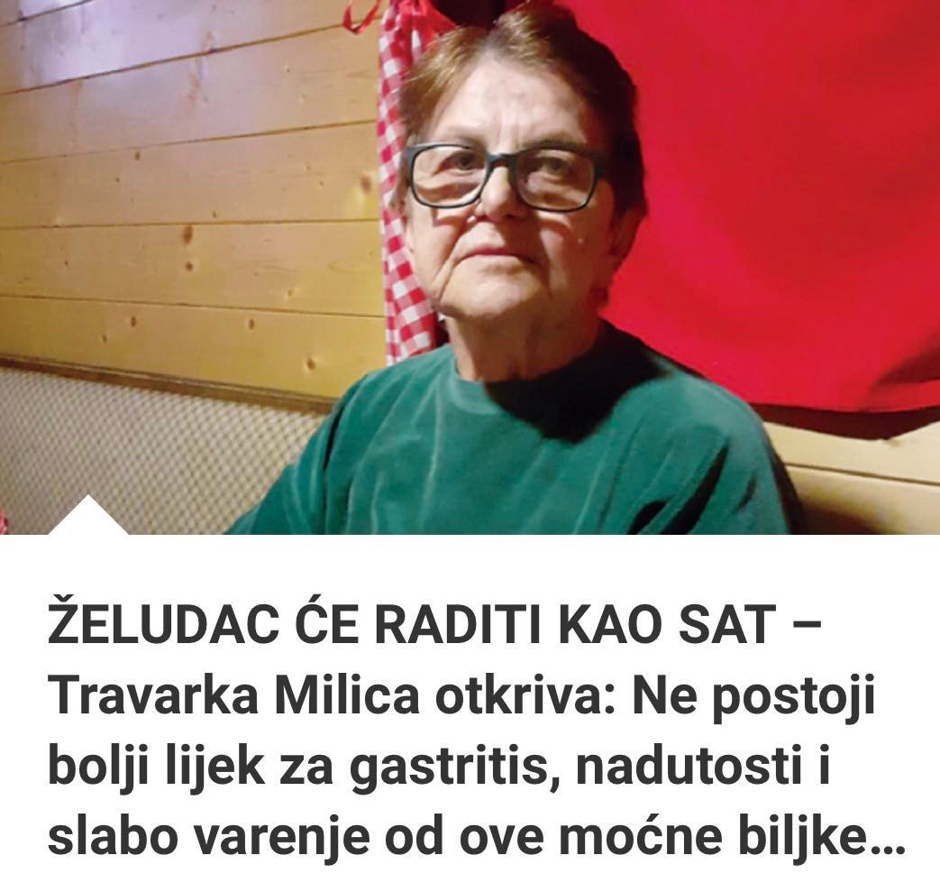 POGLEDAJTE KAKO ĆE ŽELUDAC RADITI KAO SAT – Travarka Milica Otkriva: Ne Postoji Bolji Lijek Za Gastritis, Nadutosti I Slabo Varenje Od Ove Moćne Biljke