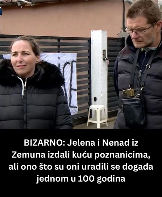 POGLEDAJTE STA SU POSTANARI URADILI JELENI I NENADU !