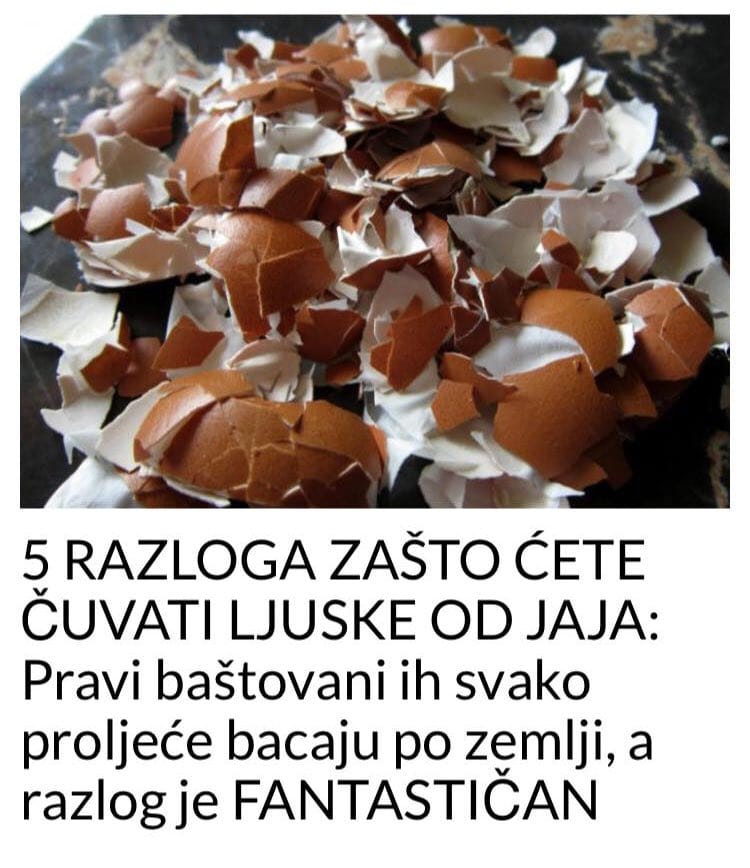 5 RAZLOGA ZAŠTO ĆETE ČUVATI LJUSKE OD JAJA: