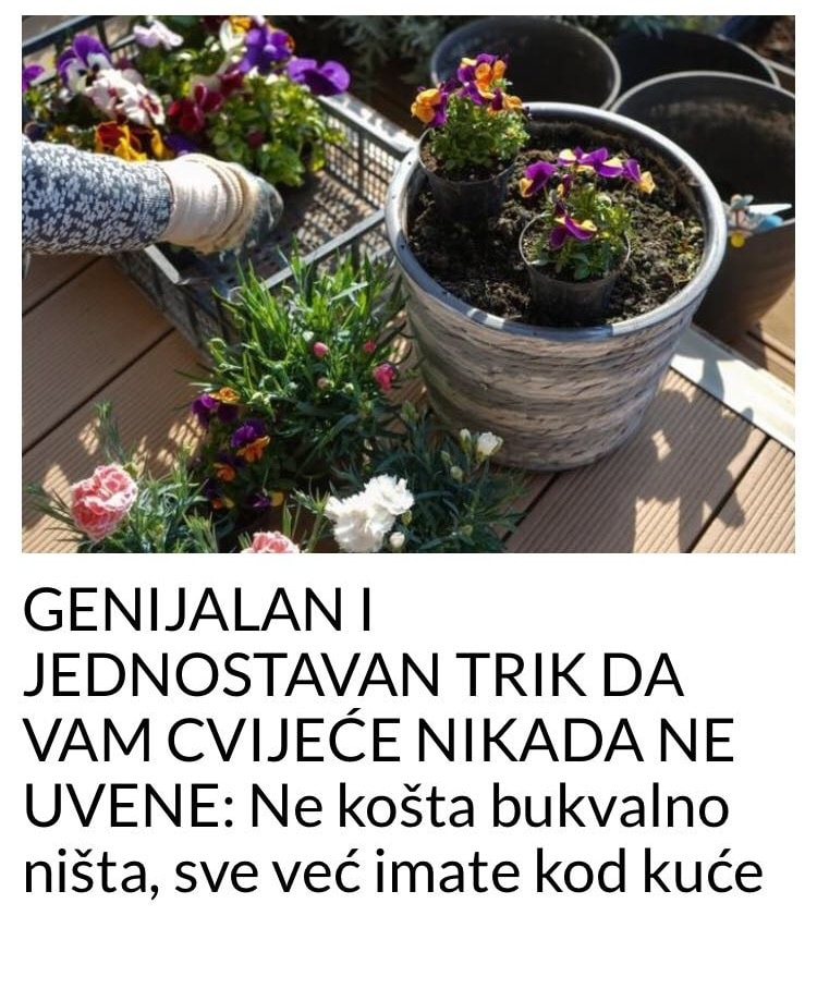 POGLEDAJTE GENIJALAN I JEDNOSTAVAN TRIK DA VAM CVIJEĆE NIKADA NE UVENE