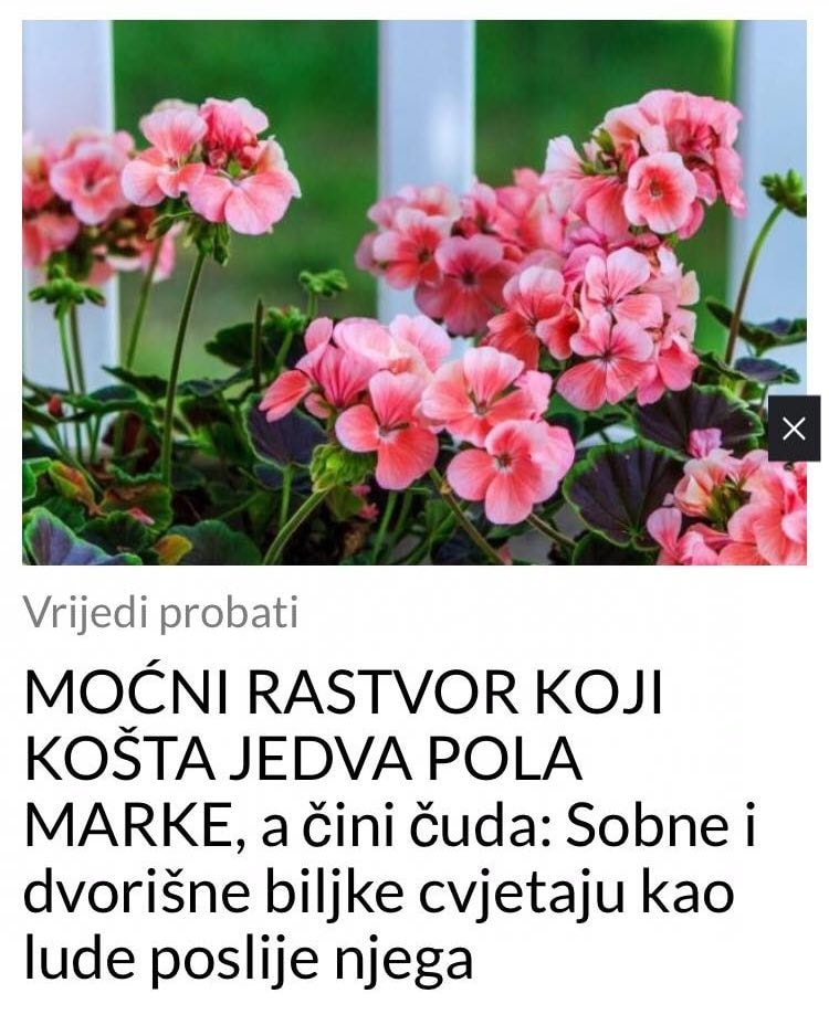 MOĆNI RASTVOR KOJI KOŠTA JEDVA POLA MARKE