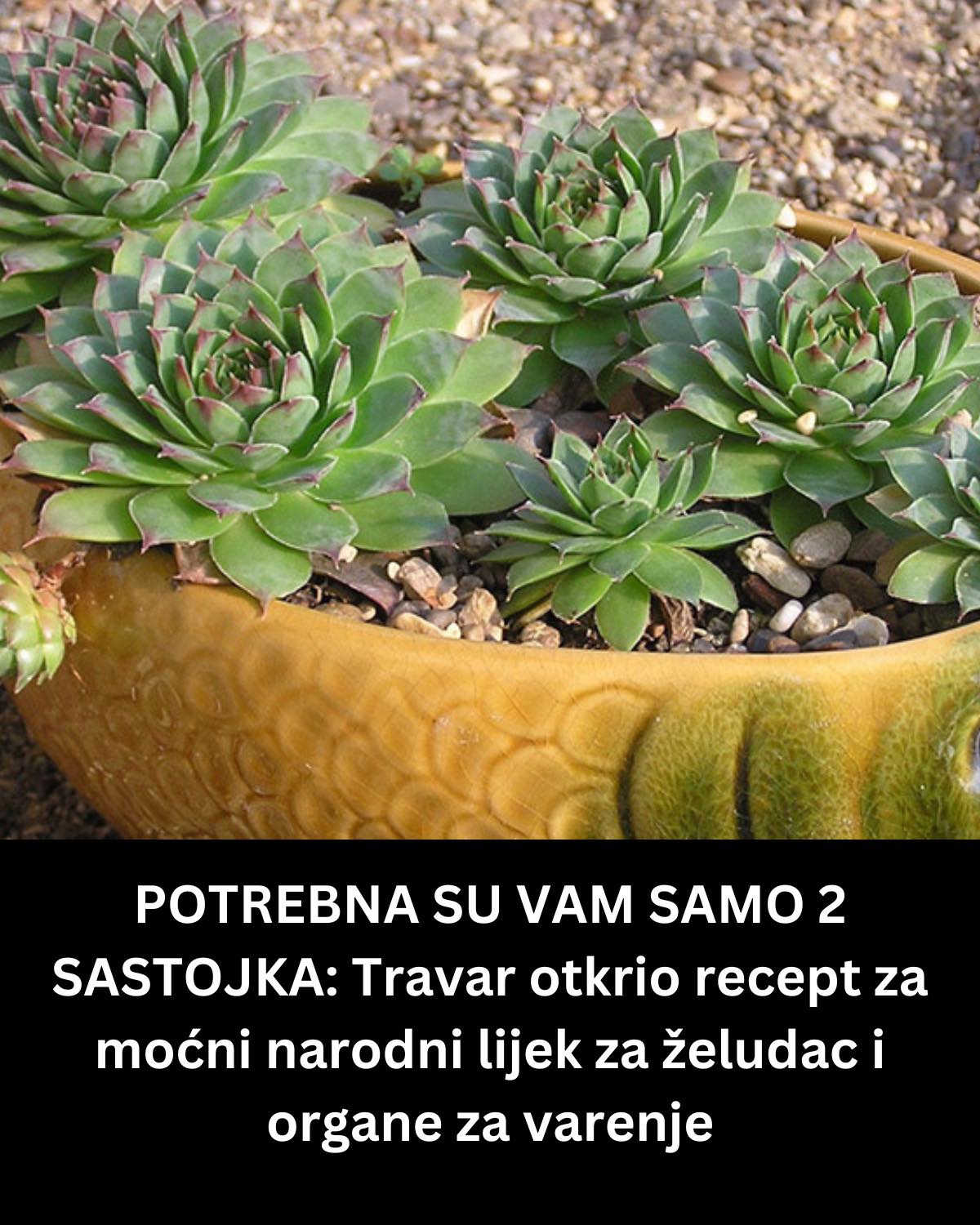 POTREBNA SU VAM SAMO 2 SASTOJKA: