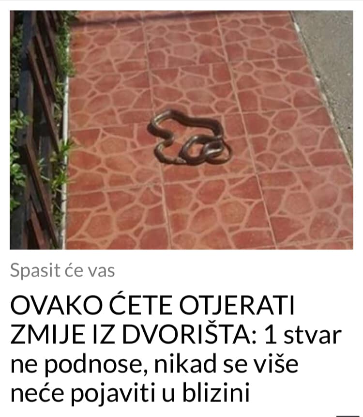 OVAKO ĆETE OTJERATI ZMIJE IZ DVORIŠTA: