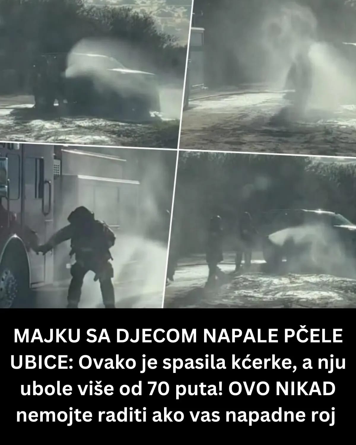 POGLEDAJTE STA TREBATE DA UCINITE KADA VAS NAPADNE ROJ PCELA