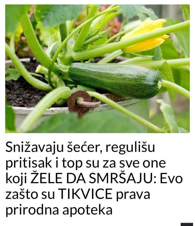 Tikvice za visok pritisak