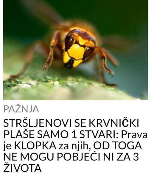 STRŠLJENOVI SE KRVNIČKI PLAŠE SAMO 1 STVARI: Prava je KLOPKA za njih, OD TOGA NE MOGU POBJEĆI NI ZA 3 ŽIVOTA