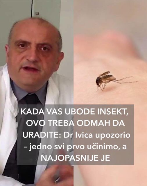 KADA VAS UBODE INSEKT, OVO TREBA ODMAH DA URADITE: Dr Ivica upozorio – jedno svi prvo učinimo, a NAJOPASNIJE JE