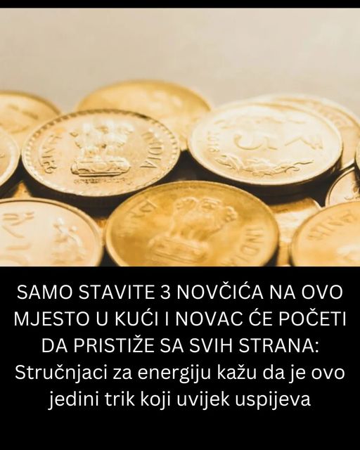 SAMO STAVITE 3 NOVČIĆA NA OVO MJESTO U KUĆI I NOVAC ĆE POČETI DA PRISTIŽE SA SVIH STRANA: Stručnjaci za energiju kažu da je ovo jedini trik koji uvijek uspijeva