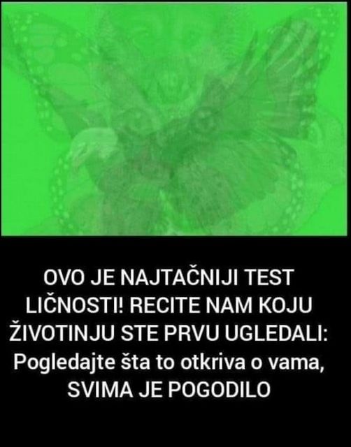 OVO JE NAJTAČNIJI TEST! ŠTA PRVO VIDITE NA SLICI? Ako ste videli OVO onda ste MAGNET ZA SUPROTNI POL