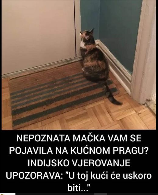 AKO VAM MAČKA DOĐE NA VRATA, I NE ŽELI DA ODE: Evo šta to znači!