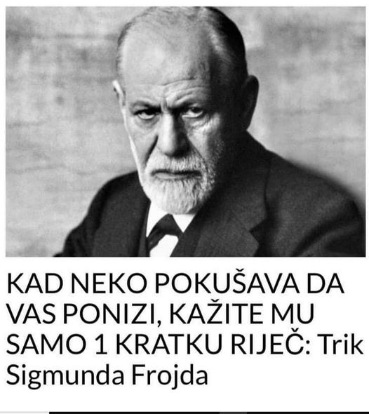 AKO NEKO POKUŠAVA DA VAS PONIZI VI MU KAŽITE 1 REČ: Frojdov trik koji će vam pomoći da pobedite zle i pokvarene ljude