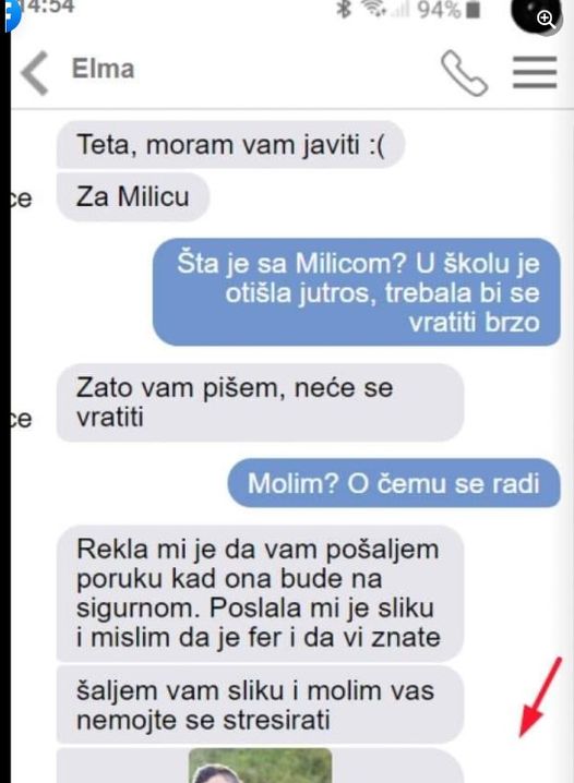 JAVILA MI SE KĆERKINA PRIJATELJICA I REKLA ŠTA SE DESILO MOJOJ MILICI: Kad mi je poslala sliku, SAMO SAM POČELA PLAKATI, MOJA MEZIMICA JE OVO URADILA?!