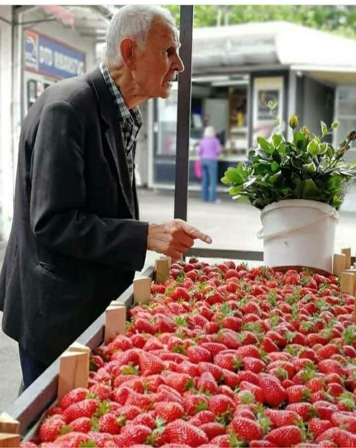 POUČNA PRIČA: Starac I Jagode