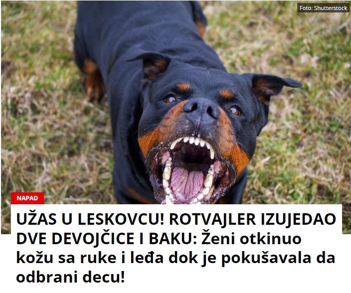 UŽAS U LESKOVCU! ROTVAJLER IZUJEDAO DVE DEVOJČICE I BAKU: Ženi otkinuo kožu sa ruke i leđa dok je pokušavala da odbrani decu!