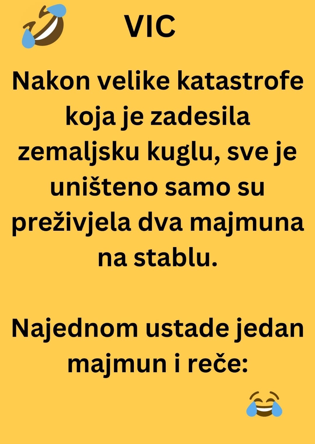 Nakon velike katastrofe koja je zadesila zemaljsku kuglu