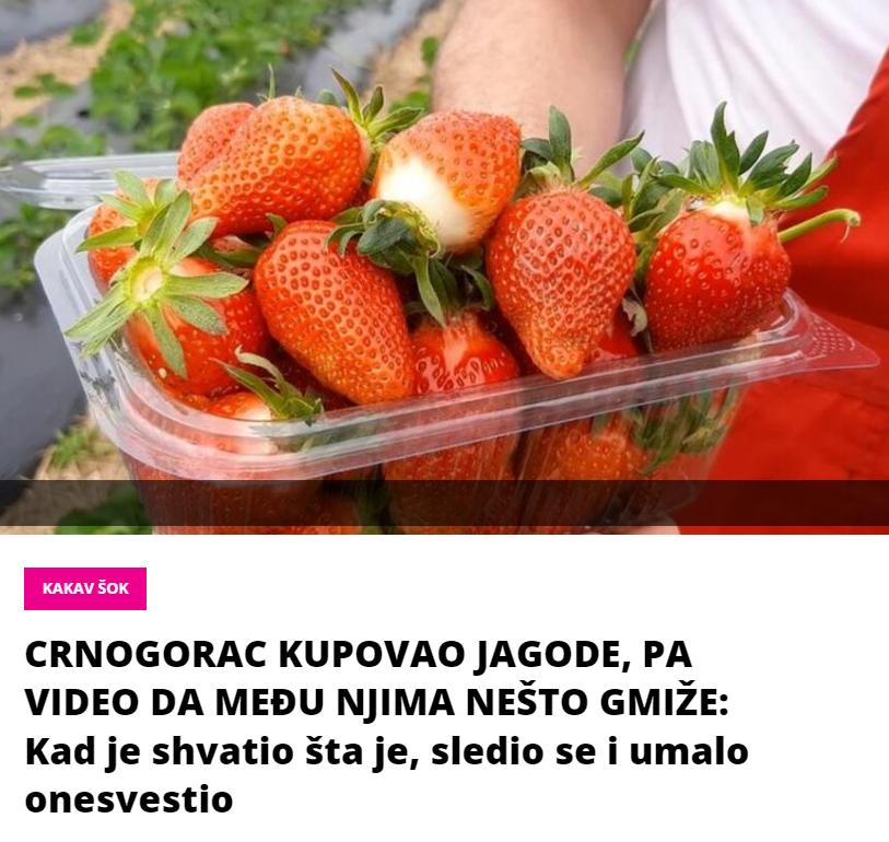 CRNOGORAC KUPOVAO JAGODE, PA VIDEO DA MEĐU NJIMA NEŠTO GMIŽE: Kad je shvatio šta je, sledio se i umalo onesvestio