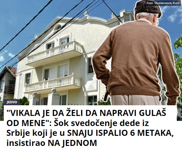 “VIKALA JE DA ŽELI DA NAPRAVI GULAŠ OD MENE”: Šok svedočenje dede iz Srbije koji je u SNAJU ISPALIO 6 METAKA, insistirao NA JEDNOM