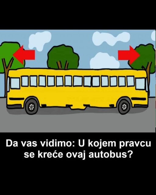 Da vas vidimo: U kojem pravcu se kreće ovaj autobus? DJECA POGODE IZ PRVE