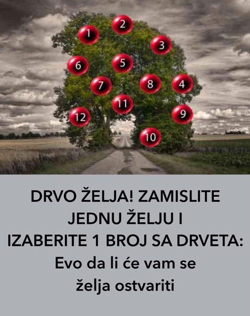 DRVO ŽELJA! ZAMISLITE JEDNU ŽELJU I IZABERITE 1 BROJ SA DRVETA:Evo da li će vam se želja ostvariti