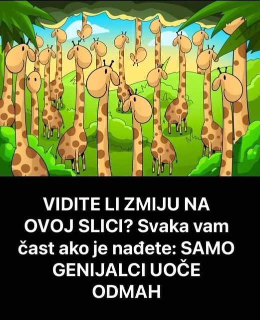 VIDITE LI ZMIJU NA OVOJ SLICI? Svaka Vam Čast Ako Je Nađete: SAMO GENIJALCI U0ČE ODMAH