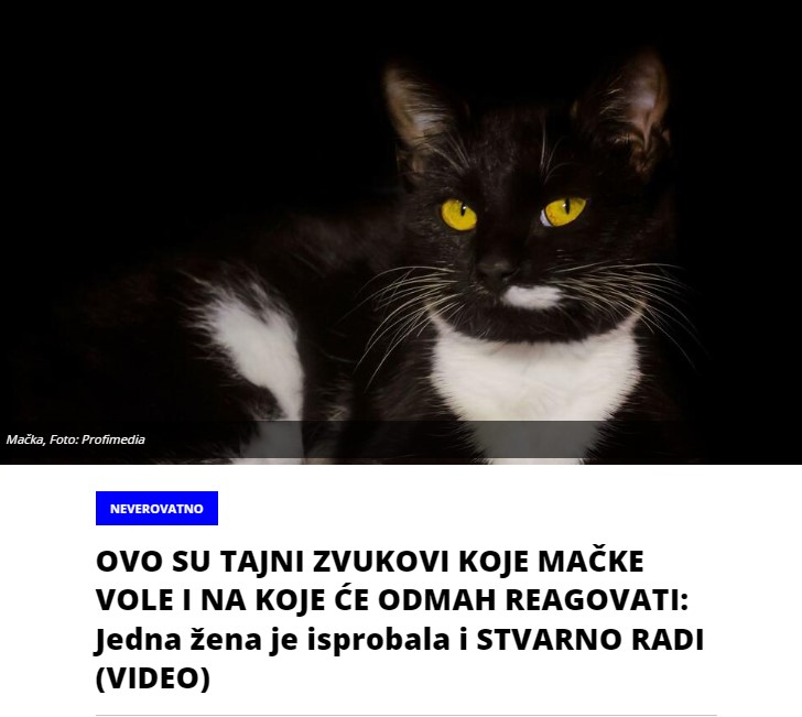 Zvukovi koje mačke stvarno vole