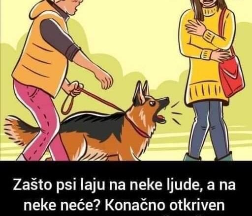 Zašto psi laju na neke ljude, a na neke neće? Konačno otkriven razlog, PSI VIDE NEŠTO ŠTO LJUDI NE MOGU